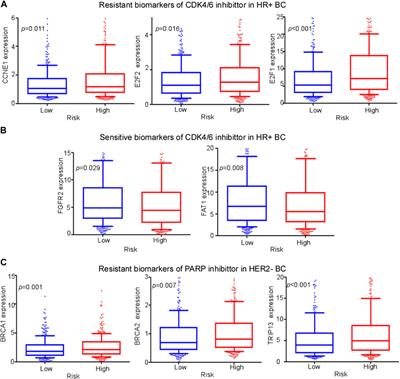 Cuproptosis-related lncRNAs potentially predict prognosis and therapy sensitivity of breast cancer